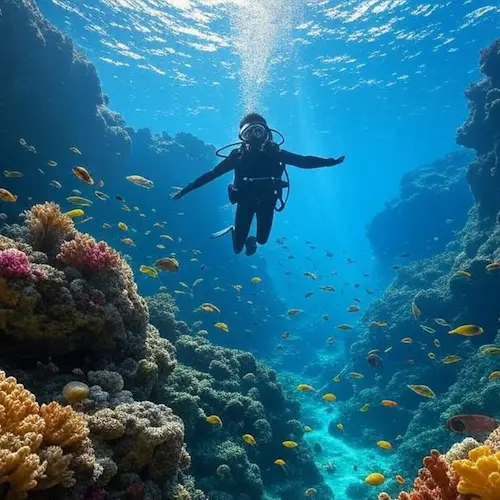 Los mejores puntos de buceo en Barcelona